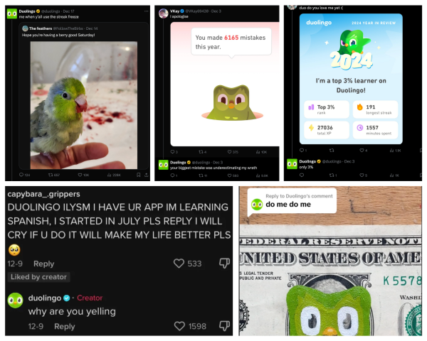 A collage of Duolingo comments from social media.